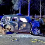 24 Injured in Major Accident on A 6 in Collado Villalba